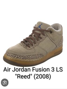 Air Jordan Retro 3 Fusion LS (AJF 3) "Reed" (2008) Mens 12 EUC